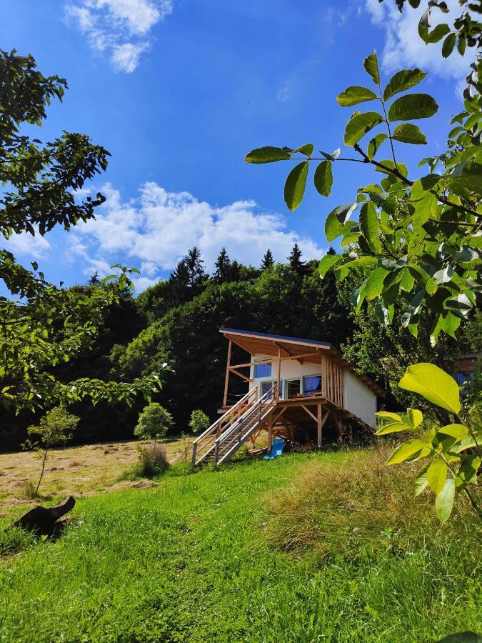 Rainbow Chalet Bran  Bagian luar foto