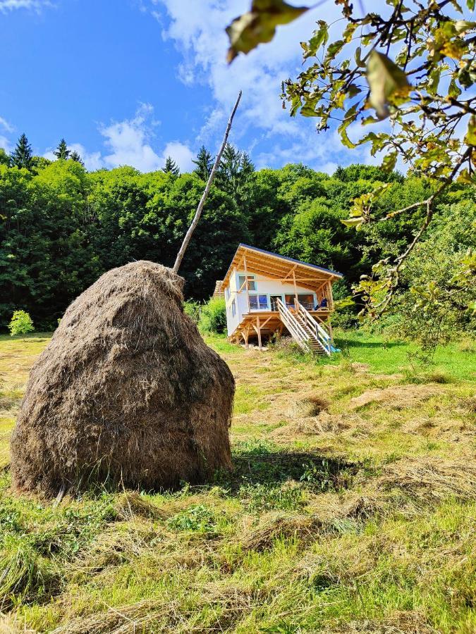 Rainbow Chalet Bran  Bagian luar foto